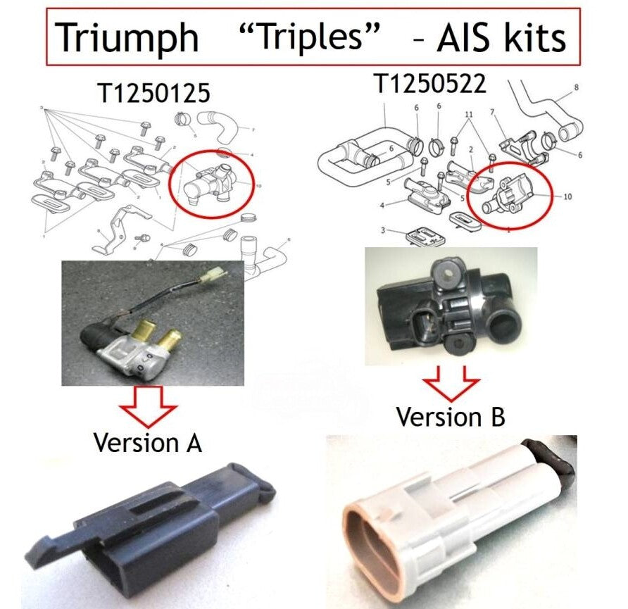 2005-10 Triumph Speed Triple 1050 AIS Blanking Plates SMOG Block Off Eliminator